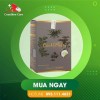 cao vị nhân hỗ trợ phụ nữ u xơ tử cung
