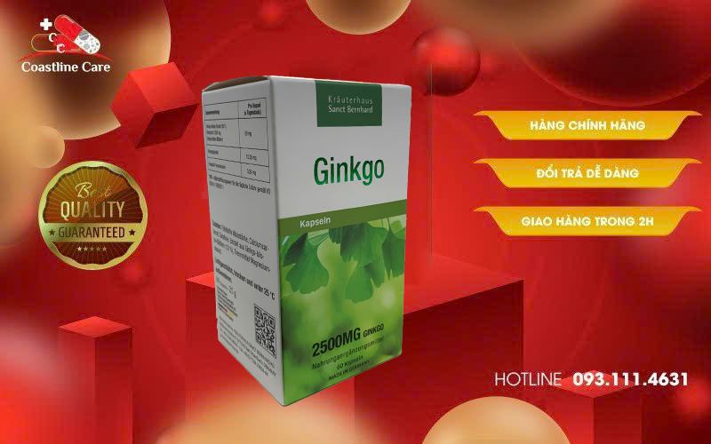 Ginkgo Kapseln hỗ trợ giảm triệu chứng do thiểu năng tuần hoàn não gây ra