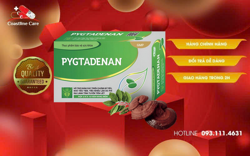 thuốc pygtadenan giảm các triệu chứng bí tiểu, khó tiểu, tiểu nhiều lần do phì đại lành tính tuyến tiền liệt