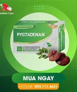 Pygtadenan - Hỗ Trợ Giảm Triệu Chứng Phì Đại Lành Tính Tuyến Tiền Liệt (Hộp 30 Viên)pygtadenan giảm các triệu chứng phì đại lành tính tuyến tiền liệt