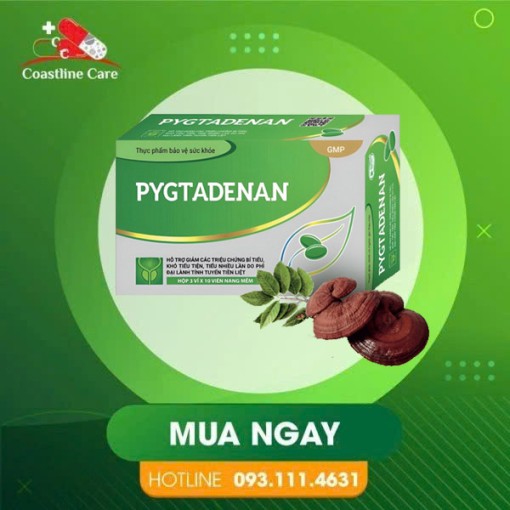 pygtadenan giảm các triệu chứng phì đại lành tính tuyến tiền liệt