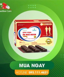 Đông Trùng Ăn Ngủ Ngon New Formula+ Fast - Giúp Ăn Ngon Miệng (Hộp 30 viên)Đông Trùng Ăn Ngủ Ngon New Formula+ Fast Giảm Mệt Mỏi