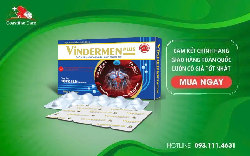 Vindermen Plus hỗ trợ cải thiện các biểu hiện thiểu năng tuần hoàn máu