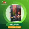 Thập Vị Xoan Plus hỗ trợ giảm các triệu chứng chảy nước mũi