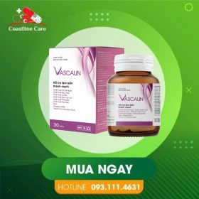 VASCALIN – Hỗ Trợ Giảm Triệu Chứng Suy Giản Tĩnh Mạch