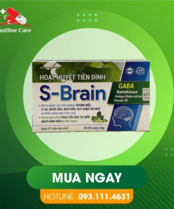 hoat-huyet-tien-dinh-s-brain