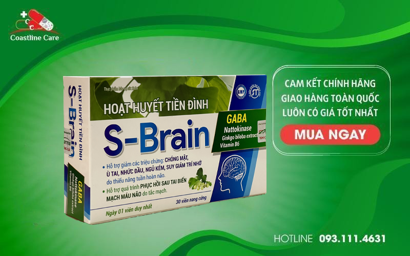 hoat-huyet-tien-dinh-s-brain