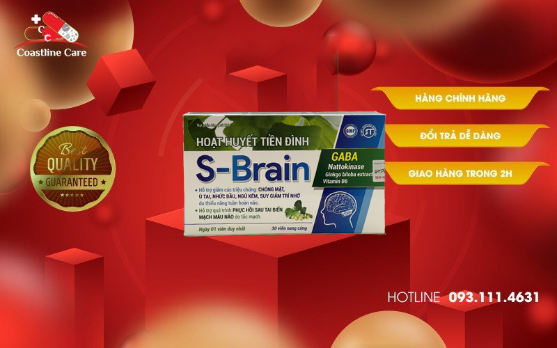 hoat-huyet-tien-dinh-s-brain