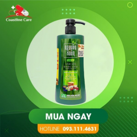 Dầu Gội Dược Liệu Nguyên Xuân Xanh – Hỗ Trợ Phục Hồi Tóc Hư Tổn (Hộp 450ml)