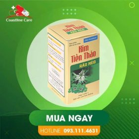 Kim Tiền Thảo Râu Mèo – Hỗ Trợ Lợi Tiểu (Hộp 100 Viên)