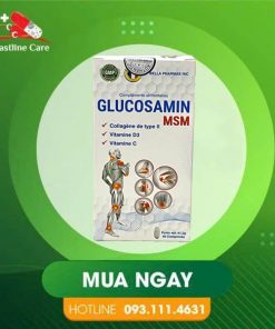 glucosamin-msm-ho-tro-tot-cho-khop