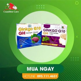 GH Ginkgo Q10 – Hỗ Trợ Tăng Cường Lưu Thông Máu (Hộp 100 Viên)