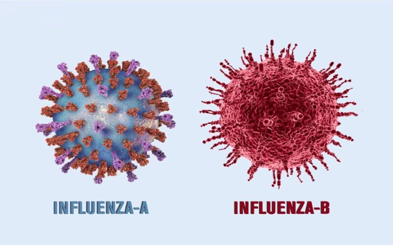 phan-biet-virus-cum-a-va-cum-b