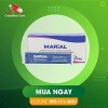 Marial Gel bảo vệ và tái tạo phục hồi niêm mạc