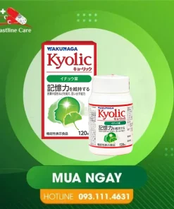 Kyolic Ginkgo Biloba - Hỗ Trợ Cải Thiện Trí Nhớ (Hộp 120 Viên)Kyolic Ginkgo Biloba tăng tuần hoàn não