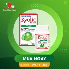 Kyolic Ginkgo Biloba – Hỗ Trợ Cải Thiện Trí Nhớ (Hộp 120 Viên)