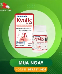 Kyolic Proteoglycan - Hỗ Trợ Khớp Vận Động Linh Hoạt (Hộp 60 Viên)Kyolic Proteoglycan hỗ trợ sức khỏe xương khớp