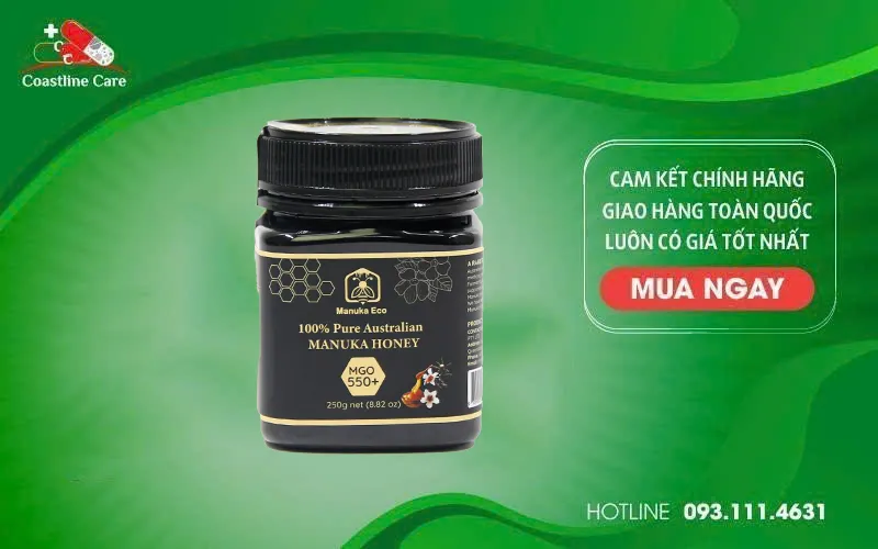 Mật Ong Manuka Eco MGO 550+ hỗ trợ cải thiện vấn đề tiêu hóa
