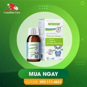 Siro New Cuf – Hỗ Trợ Bổ Phế & Giảm Ho (Hộp 100ml) Siro New Cuf – Hỗ Trợ Bổ Phế & Giảm Ho (Hộp 100ml)