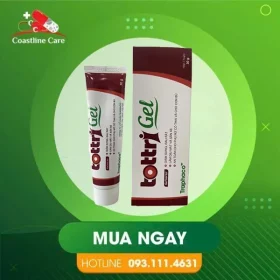 Tottri Gel – Hỗ Trợ Giảm Sưng Đau Do Trĩ (Hộp 30gr)