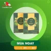 Trà Vị Nhân